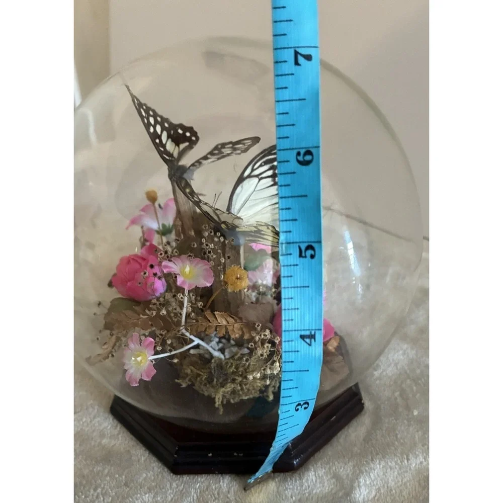 Vintage Butterfly Taxidermy Dried And Faux Pink Flowers In Glass Dome‎ Decor